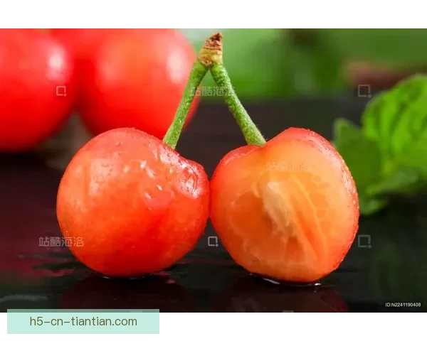 樱桃视频在线：不止是视觉盛宴，更是情感的传递